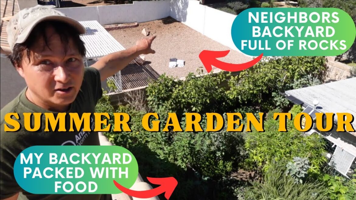 Summer Abundance: Vegetables That Thrive in the Heat | Garden Tour