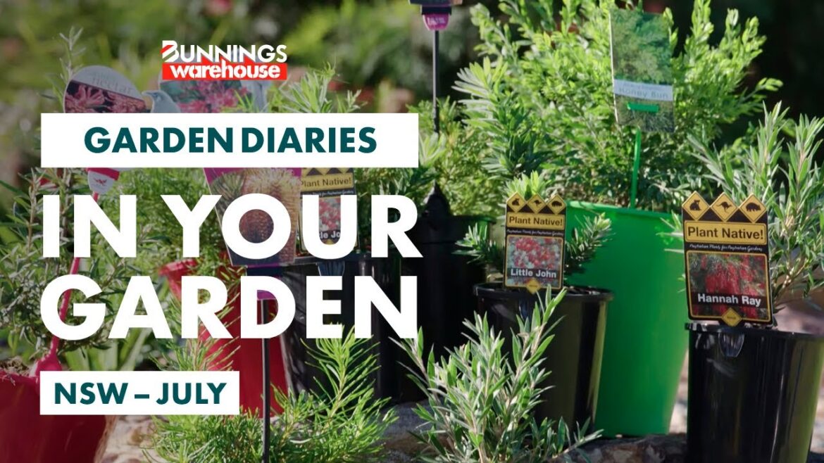 Gardening in July | NSW | Bunnings Garden Diary