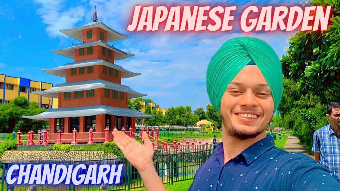 Japanese Garden Chandigarh || Sukhraj Singh Official Japanese Garden Chandigarh || Sukhraj Singh Official