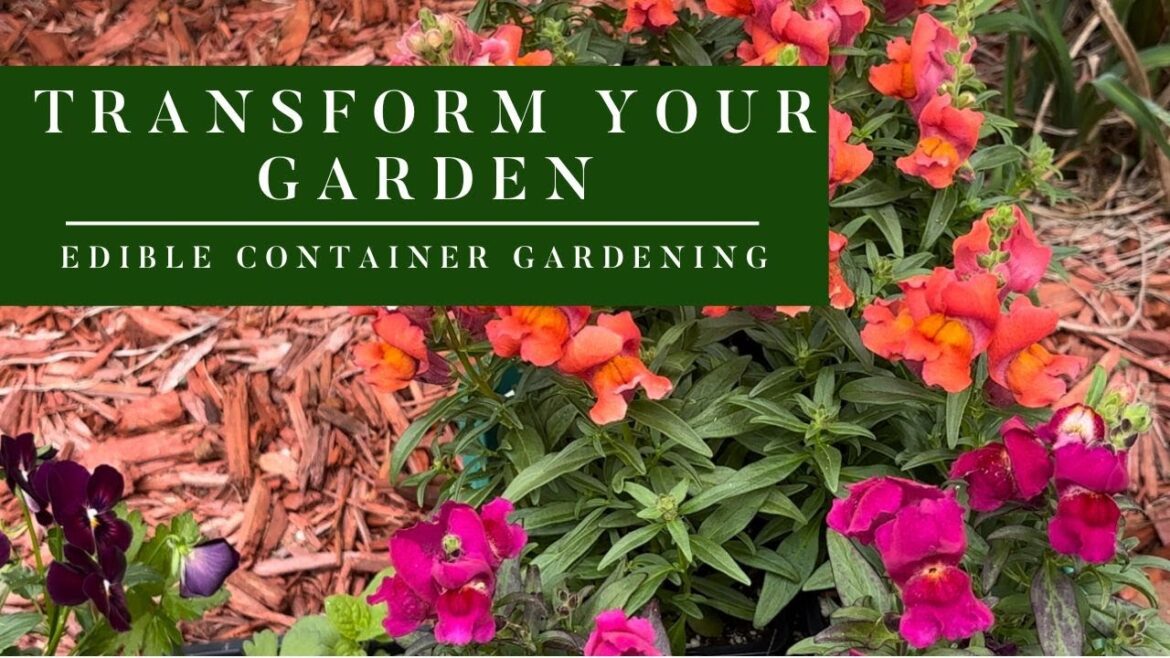 Transform Your Garden with Edible Delights: A Journey into Container Gardening