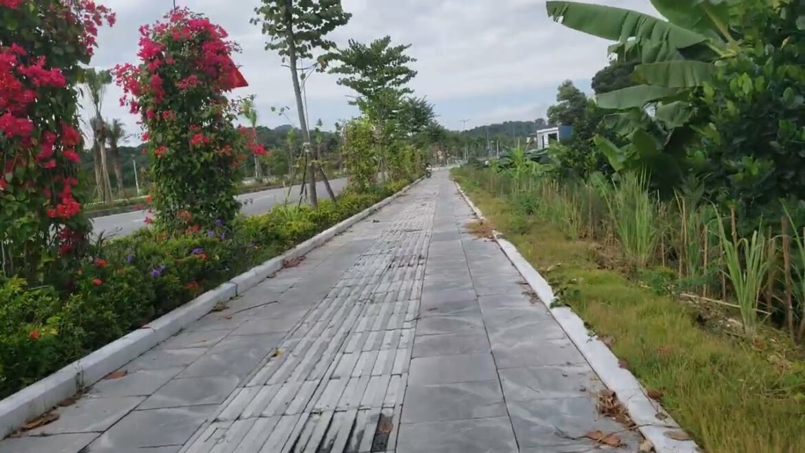 The Zen Of Japanese Garden Design