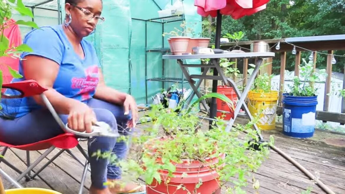 VLOG- I am Trying To Get My Container Garden Deck Area Ready Before Winter