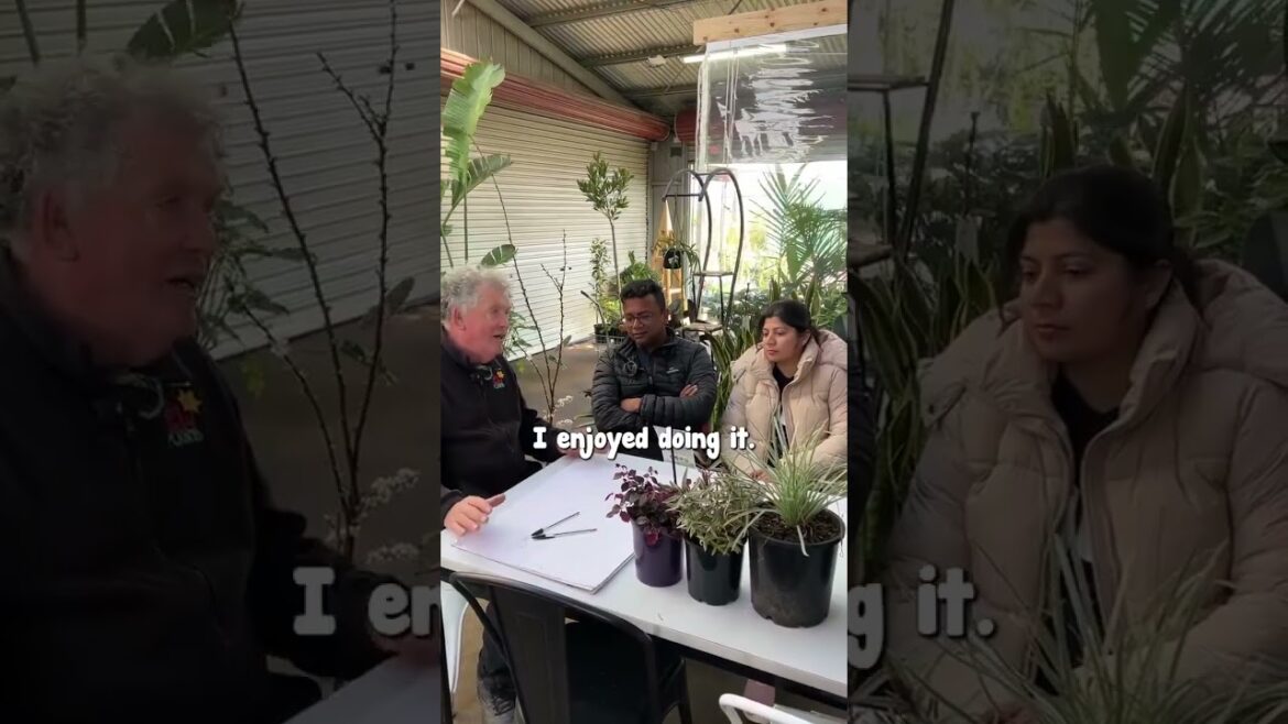 Book your Free Garden Design at Hello Hello Plants TODAY! 🌸