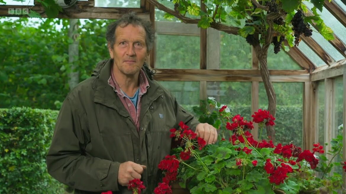 Gardeners’ World 2023🍀Episode 31 Gardeners' World 2023🍀Episode 31