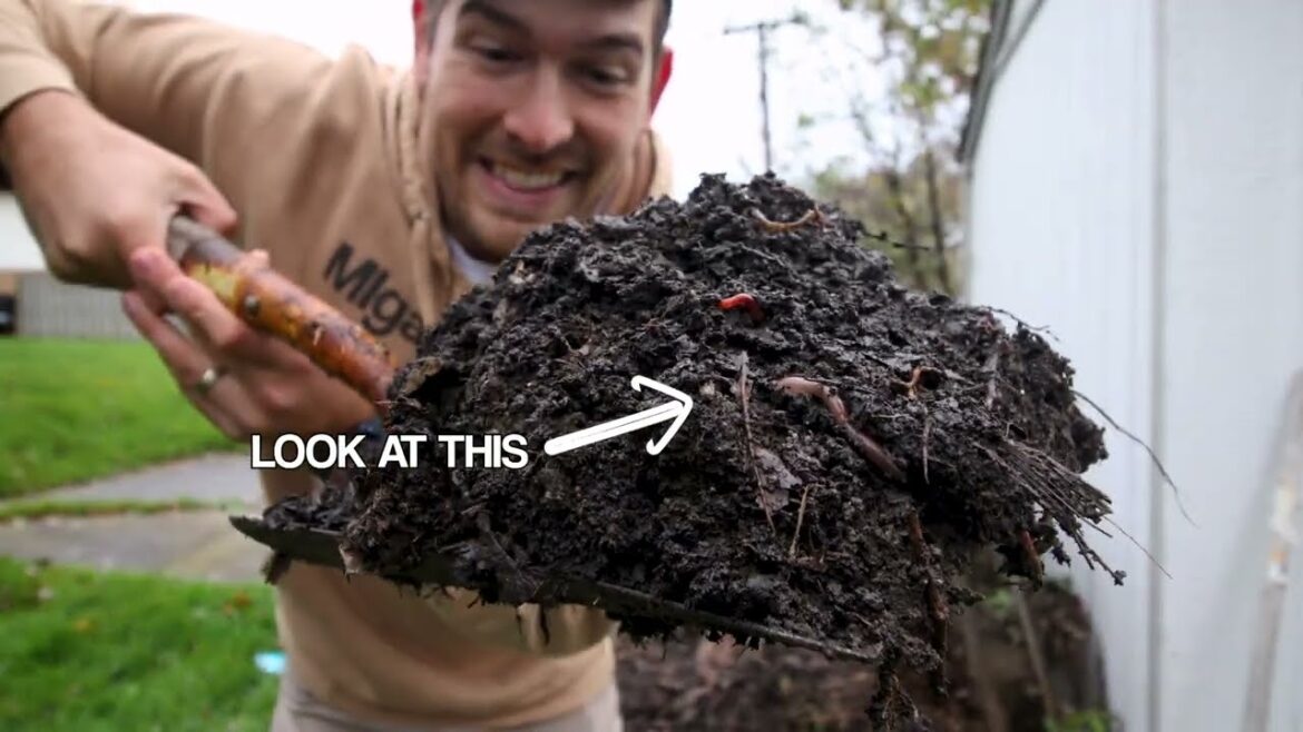 MIgardener: 5 Things I Learned That Changed The Way I Compost 5 Things I Learned That Changed The Way I Compost
