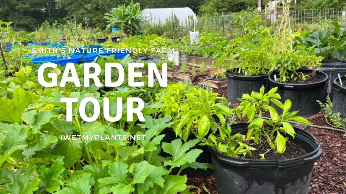 2022 No Till Garden Tour - Project updates and useful gardening tips.