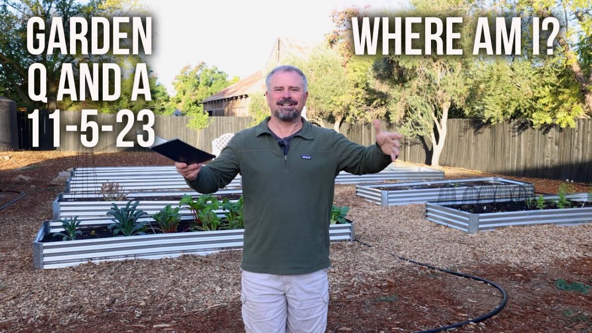 Garden Q and A in California – Planting in cold zones now?, Soil test, Plants dropping leaves early Garden Q and A in California - Planting in cold zones now?, Soil test, Plants dropping leaves early