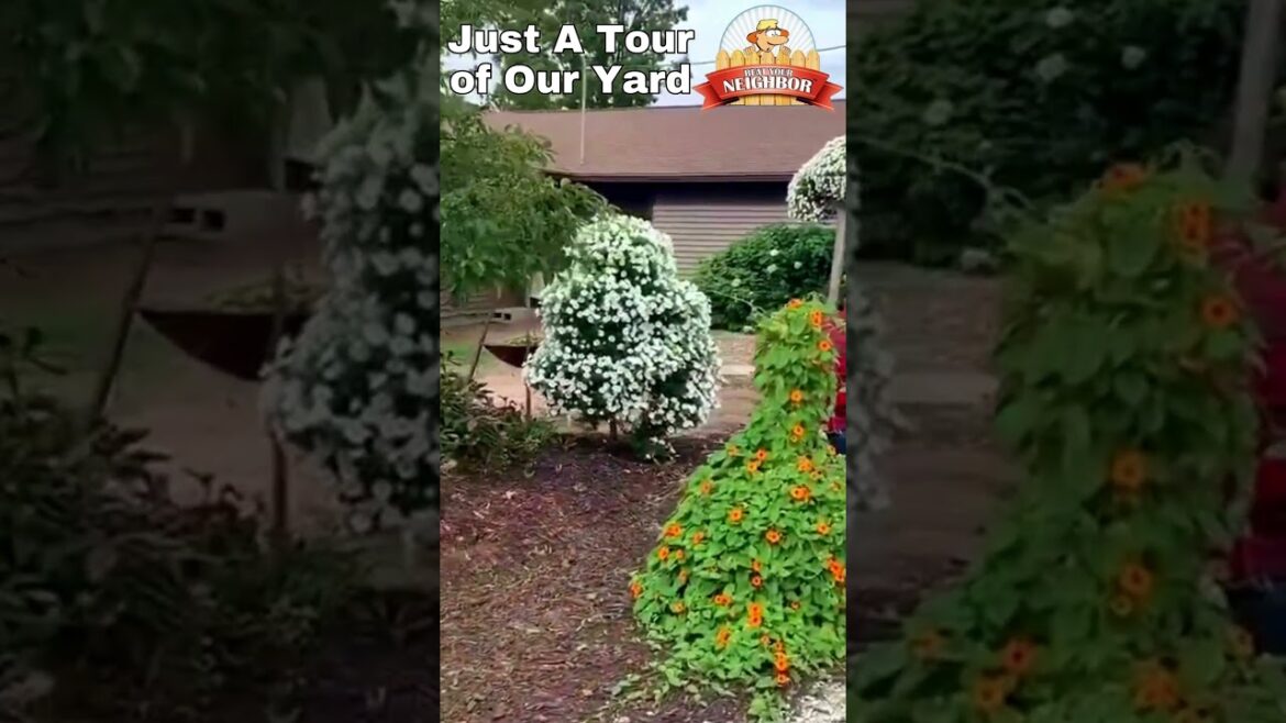 Summer Flower Tour of Our Front Yard Summer Flower Tour of Our Front Yard