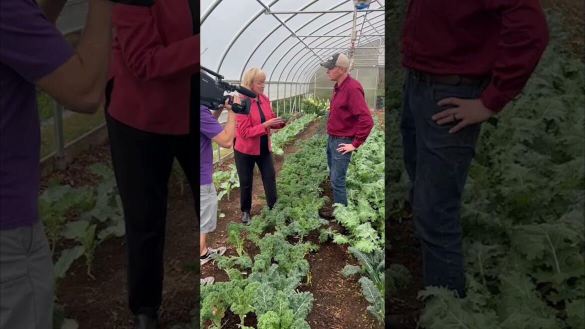 Behind the Scenes of a Volunteer Gardener Segment Behind the Scenes of a Volunteer Gardener Segment