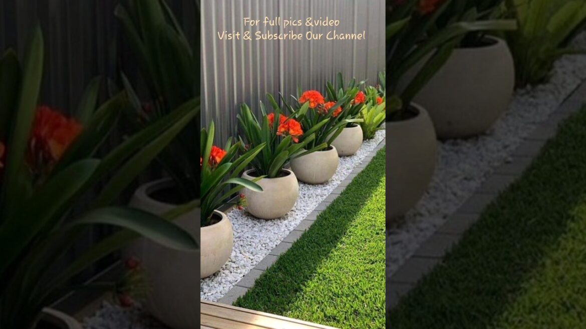 Grassy Plot Decoration | Passage for Grassy Plot | Pebbles for Garden | Garden Design | Lawn Designs