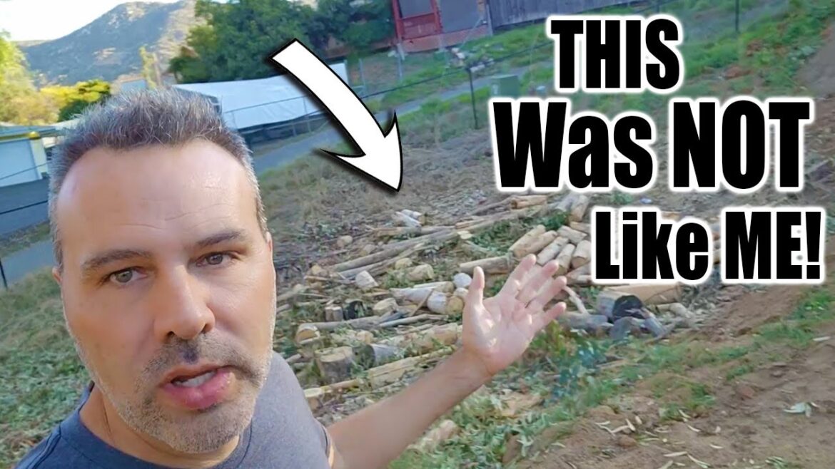 Will I REGRET This Rash Decision??