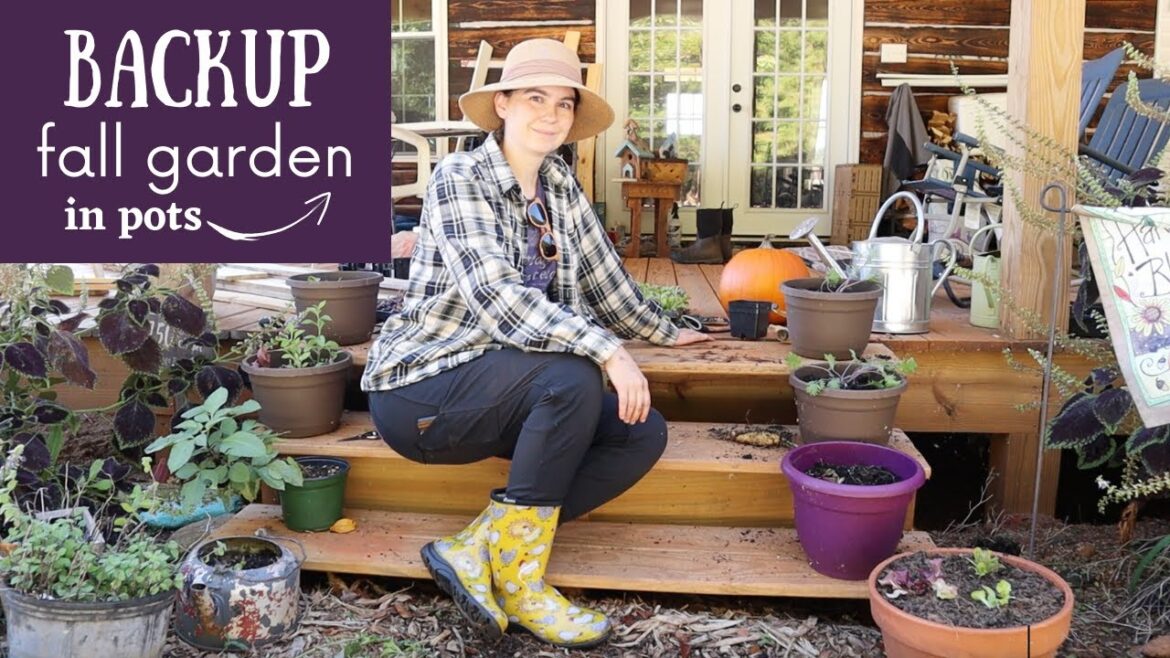 Fall Container Garden