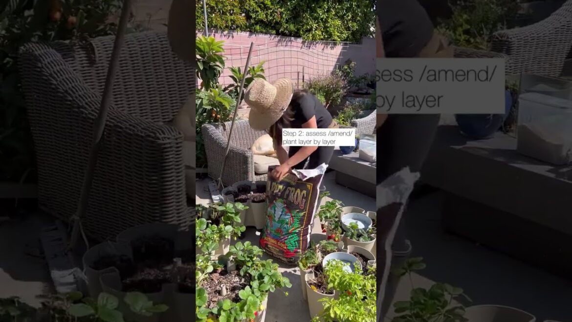 How to refresh your Garden Towers in 4 easy steps How to refresh your Garden Towers in 4 easy steps