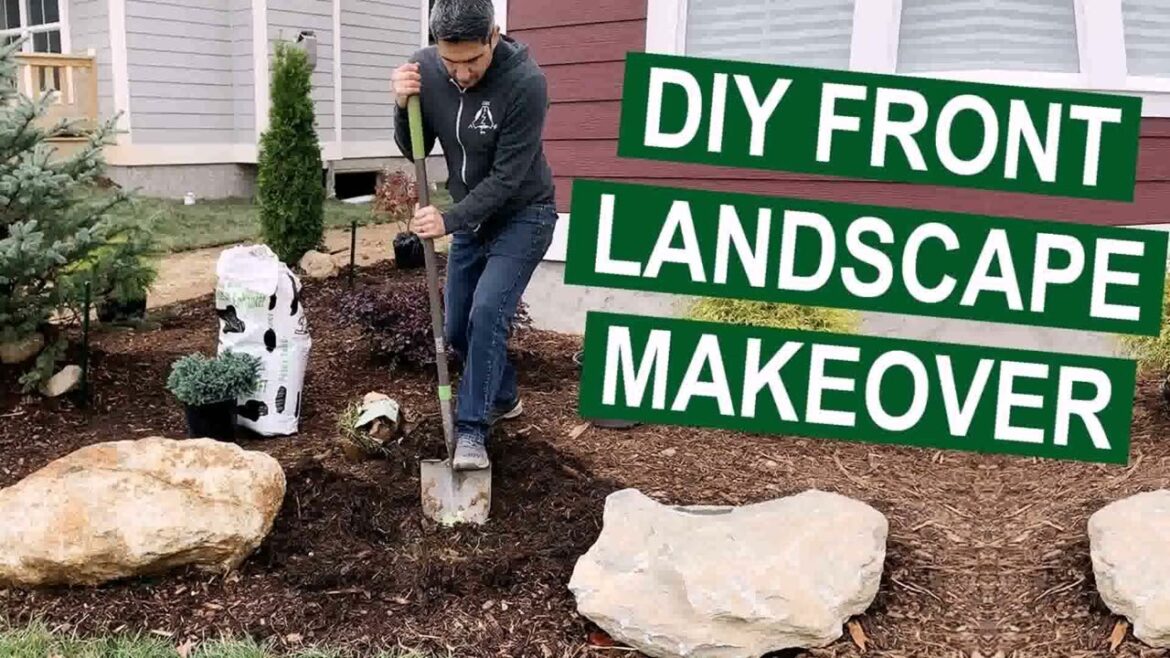 Diy Landscape Front Yard