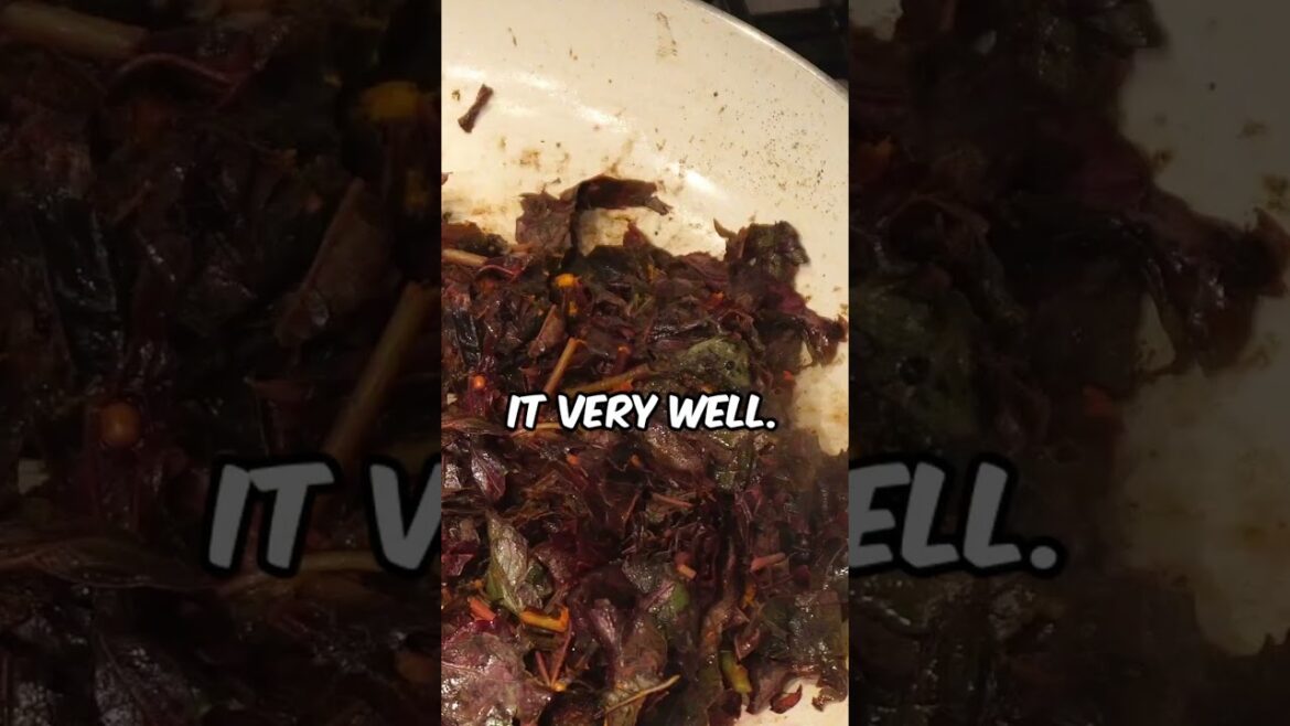 Red Amaranth & Coconut Delight! #Shorts