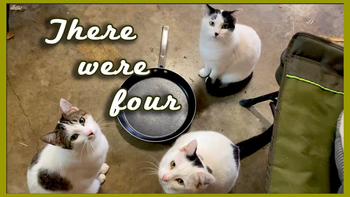 The Day After TIGER DIED + Monster Squash