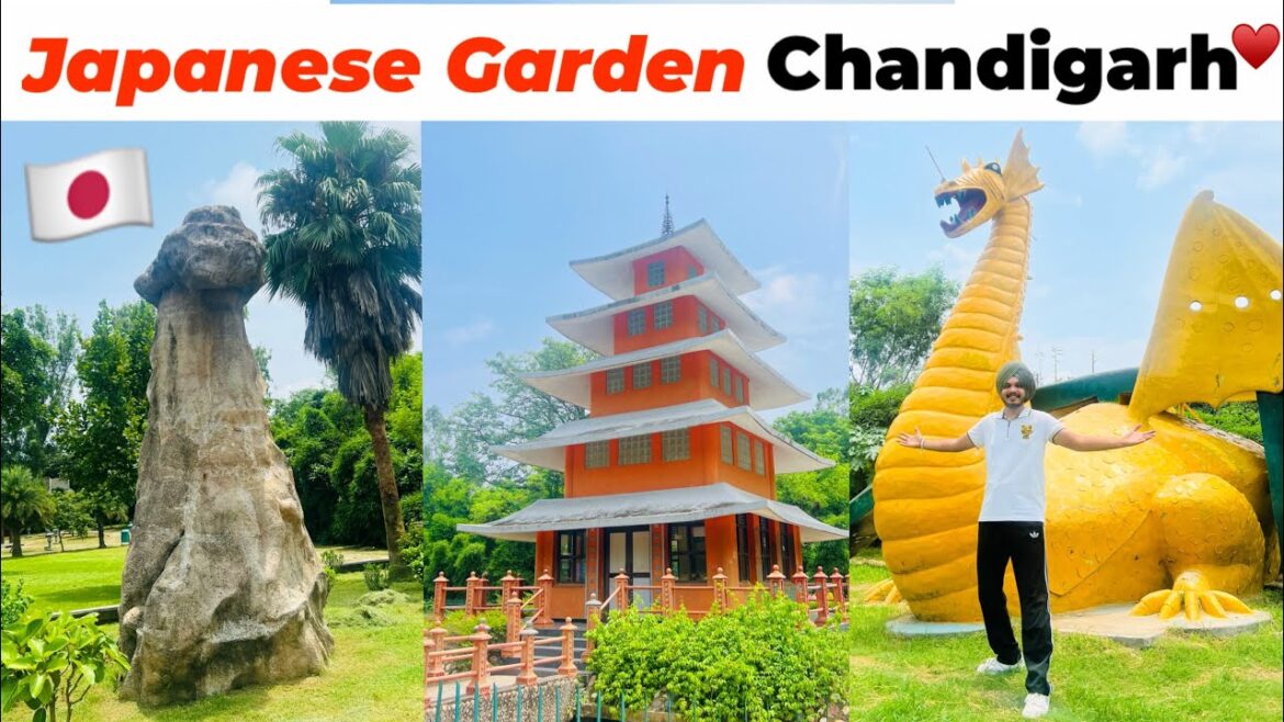 Japanese Garden Chandigarh | Famous Places In Chandigarh | Ticket Price Japanese Garden Chandigarh | Famous Places In Chandigarh | Ticket Price