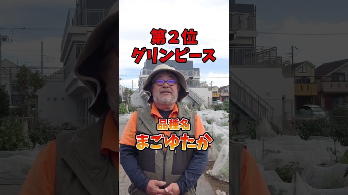 11月おすすめ野菜ランキングTOP3【農園ライフ】#shorts 11月おすすめ野菜ランキングTOP3【農園ライフ】#shorts