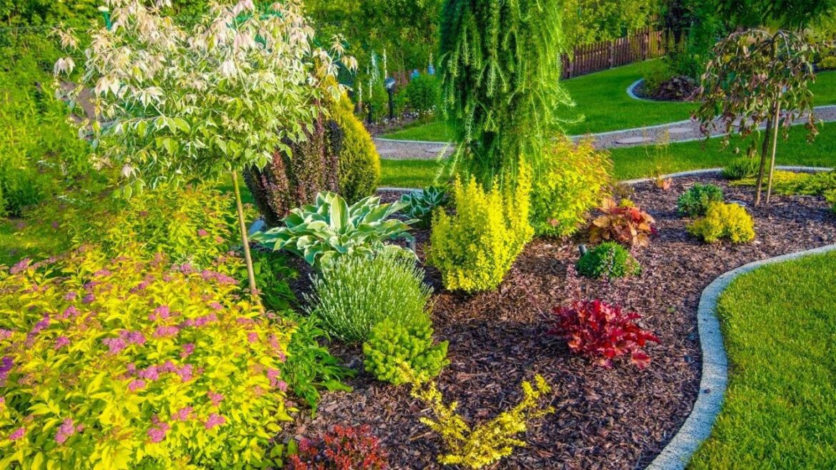 Идеи для создания яркого и красочного сада / Ideas for creating a colorful and vibrant garden Идеи для создания яркого и красочного сада / Ideas for creating a colorful and vibrant garden