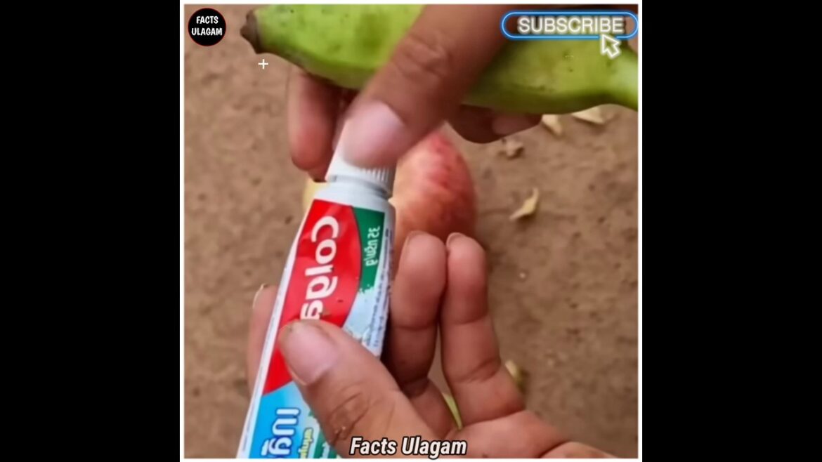 இத கடைசி வர பாருங்க! | Facts UlagamFacts In MinutesFact In Tamil_#shorts இத கடைசி வர பாருங்க! | Facts Ulagam_Facts In Minutes_Fact In Tamil_#shorts