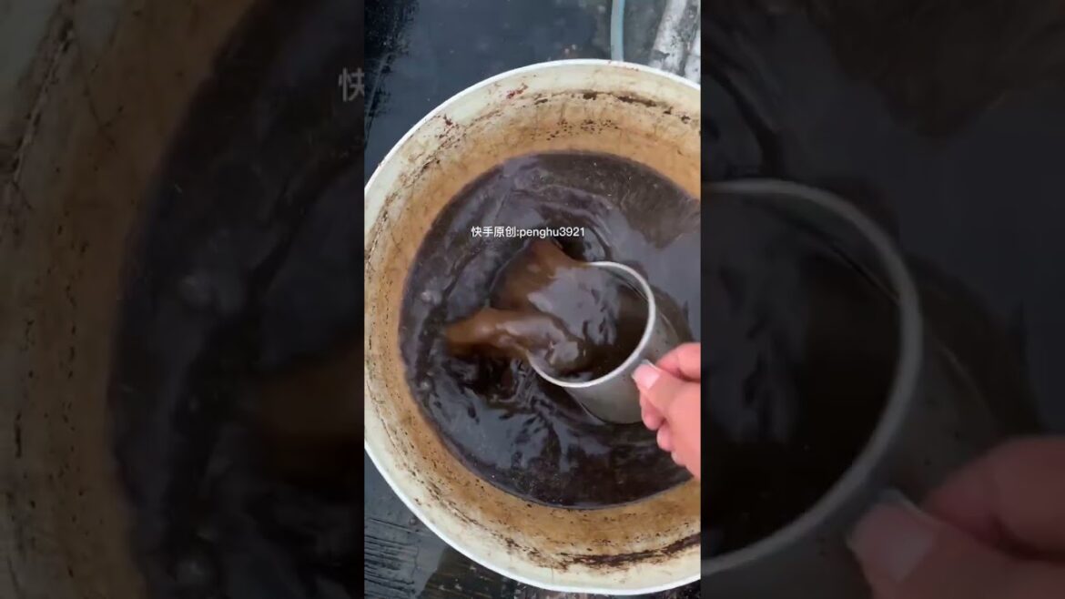 how to gardening tips vlog at home/ happiness life #gardentips #short how to gardening tips vlog at home/ happiness life #gardentips #short