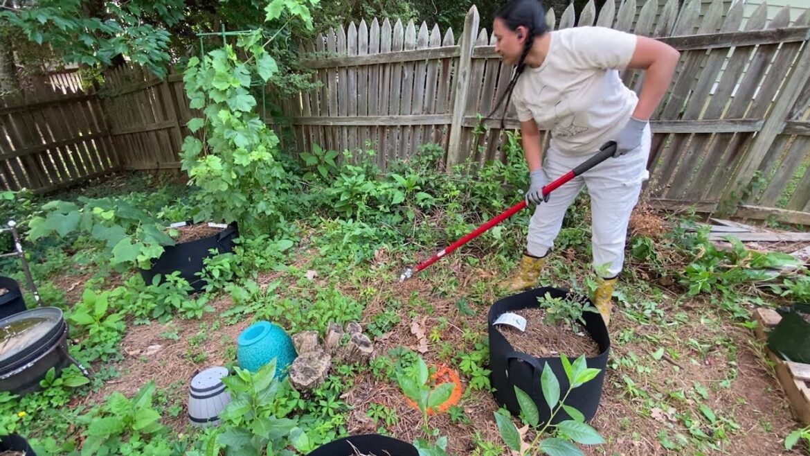 Ep. 26 - Creating a Backyard Food Forest in GA Zone 7b