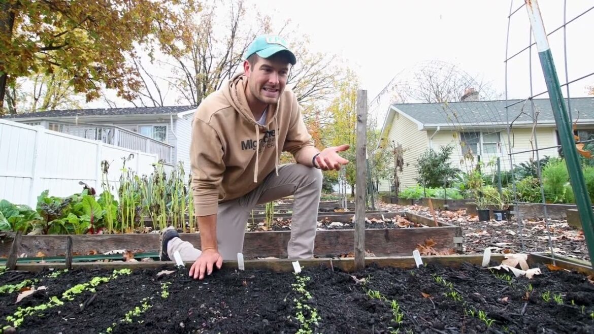 MIgardener: Top Garden Fads Of The Last Decade, Where Are They Now? Top Garden Fads Of The Last Decade, Where Are They Now?