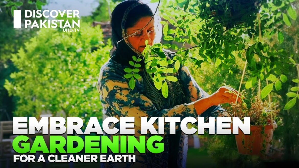 Sustainable Living Starts at Home | Embrace Kitchen Gardening for a Cleaner Earth