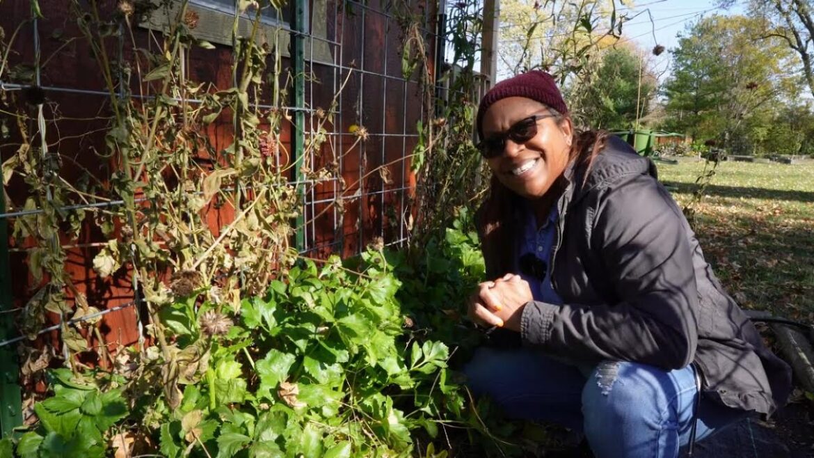 What veggies survived the hard freeze
