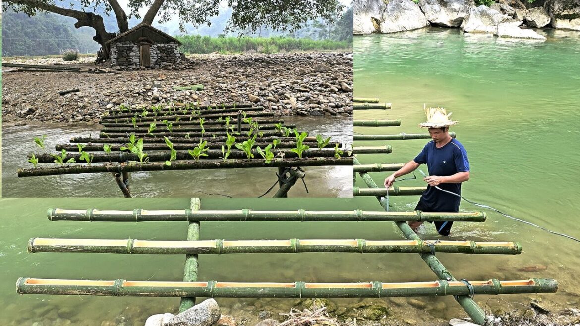 Techniques for growing vegetables in bamboo tubes - Vegetable gardening