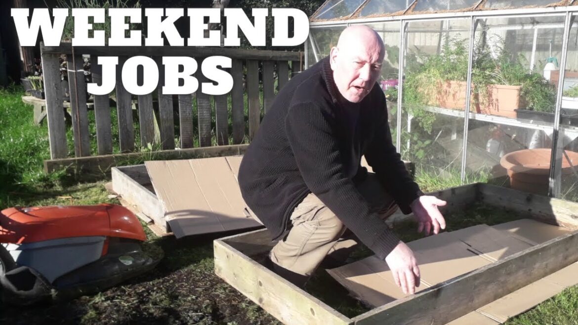 Weekend Jobs [Gardening Allotment UK] [Grow Vegetables At Home ]