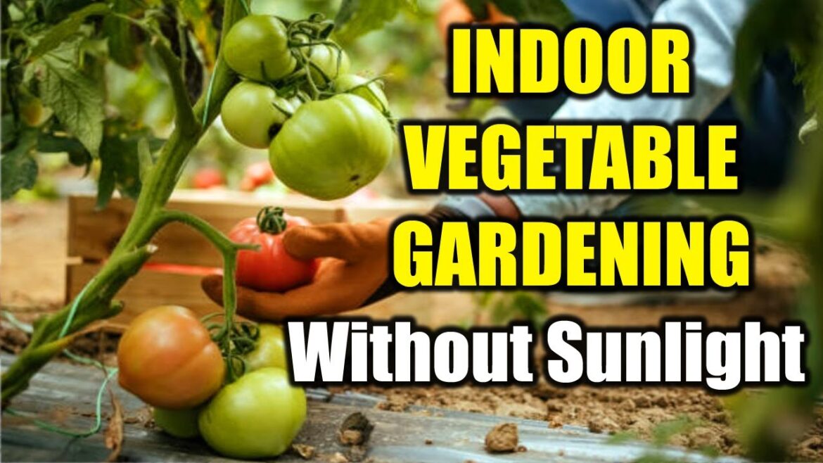 Mastering Indoor Vegetable Gardening: Cultivating Without Natural Sunlight