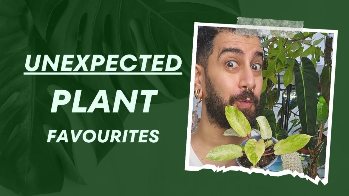 Top 10 Plant Surprises! 🎉🌱 | Plants I Underestimated! 🤷‍♀️🌱