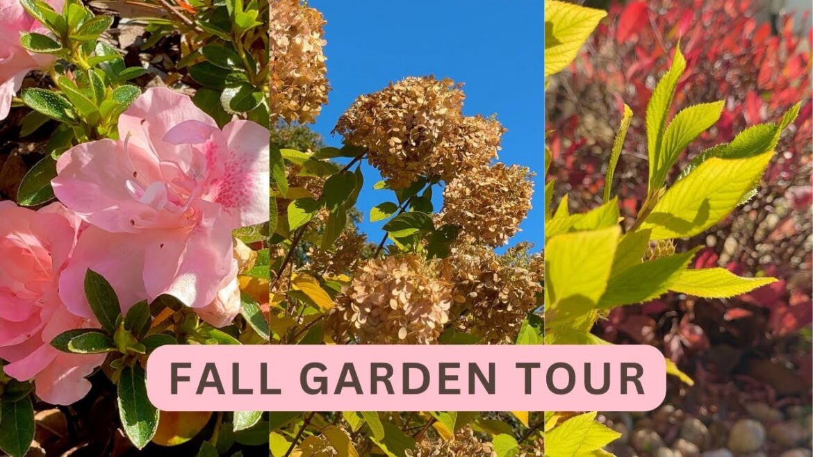 Relaxing October Backyard Garden Tour (33 Colorful Plants!)