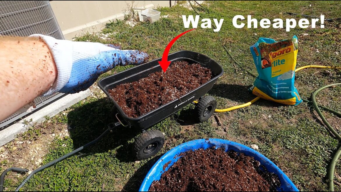 Making a Potting Mix and Planting