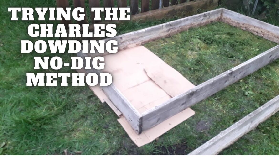 Trying The Charles Dowding No Dig Method [Gardening Allotment UK] [Grow Vegetables At Home ]