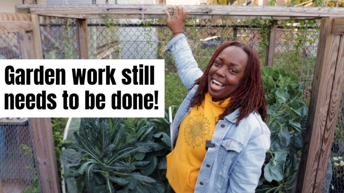 The garden work that must be done! The garden work that must be done!