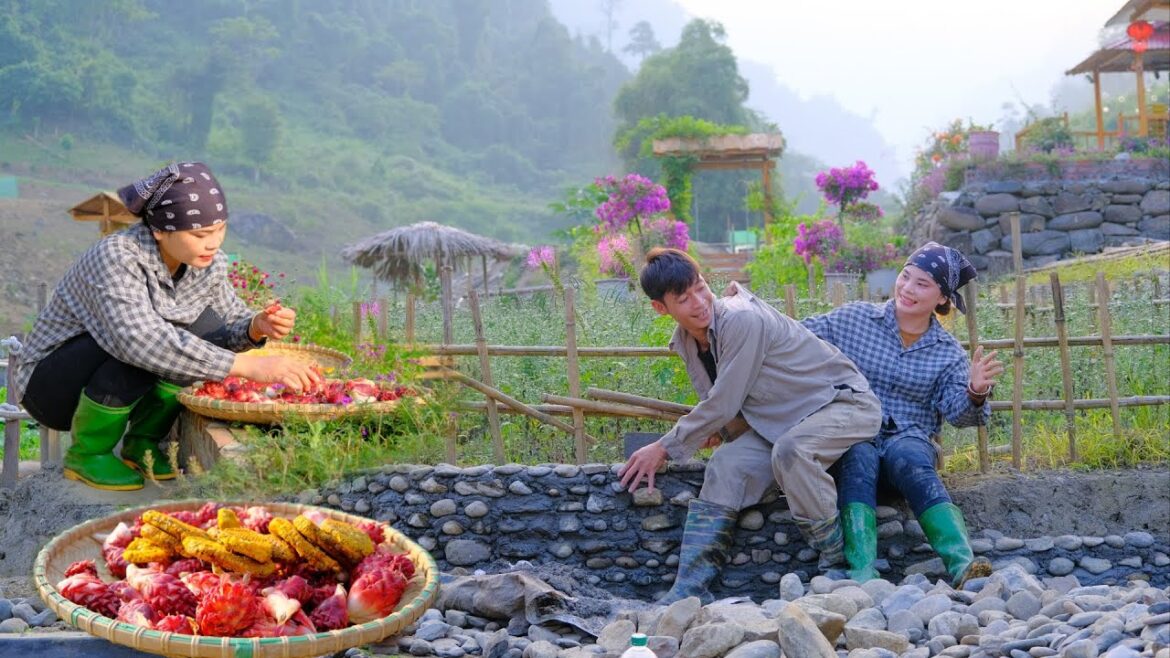 Sang and vy harvest forest agricultural products, build with natural stone – Sang vy farm Sang and vy harvest forest agricultural products, build with natural stone - Sang vy farm