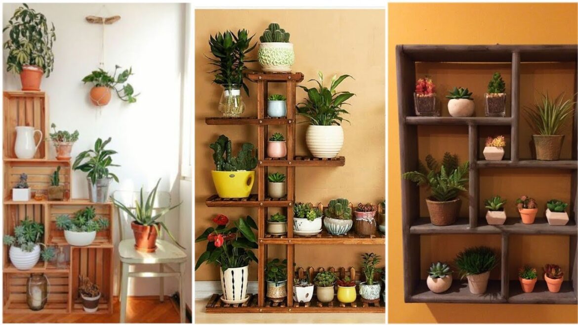 DIY Mini Indoor Gardens Design 2023 Mini Indoor Plants Ideas 2024 Home Garden Ideas DIY Mini Indoor Gardens Design 2023 Mini Indoor Plants Ideas 2024 Home Garden Ideas