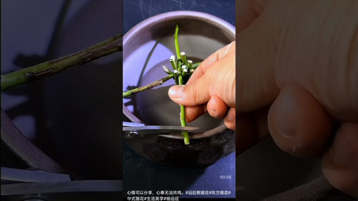 new flower plant Decorative style #decoration #flowerstyle new flower plant Decorative style #decoration #flowerstyle