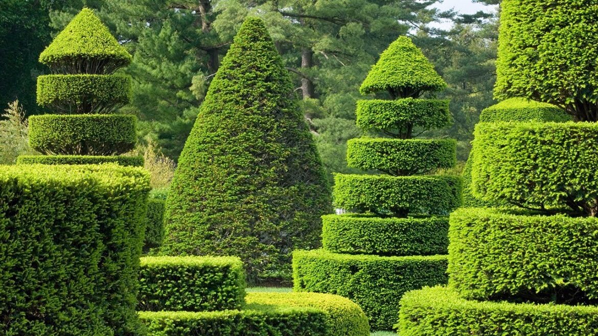 Topiary Garden