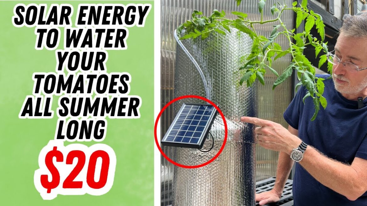 How To Build A Solar Powered Self Watering 5 Gallon Container || DIY Sun Wicking Bucket How To Build A Solar Powered Self Watering 5 Gallon Container || DIY Sun Wicking Bucket