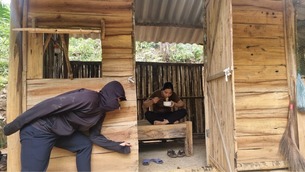 Vegetable Garden Harvest and sell them at the market - Being followed by a thief |MaiHieu
