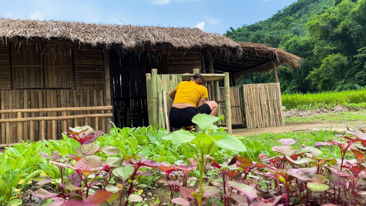 Grow corn and do vegetable gardening on the farm