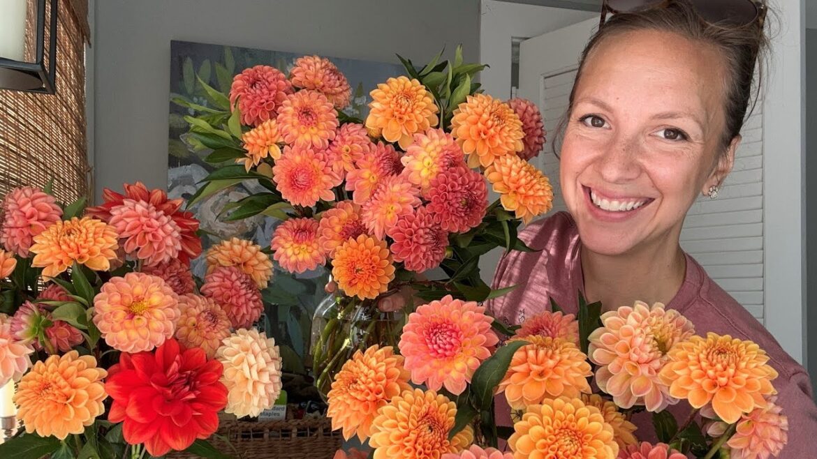 Fall Flower Stand, Planting Tulips for Cutting, Container Bulb Lasagna with Tulips and Daffodils Fall Flower Stand, Planting Tulips for Cutting, Container Bulb Lasagna with Tulips and Daffodils