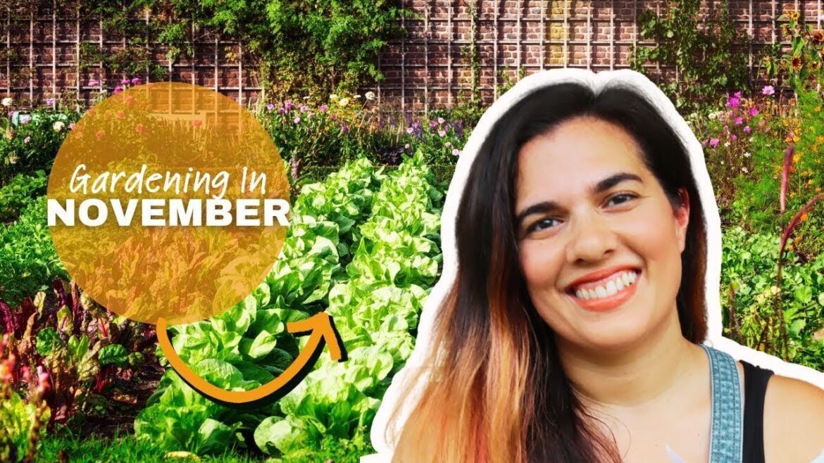 The Hidden Magic of Fall: South Florida & Caribbean Vegetable Gardening 🌴 | Your November Guide