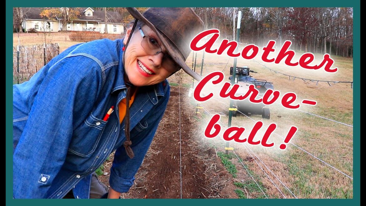 Planting Garlic for SUCCESS! What I'm doing differently this year! Part 1