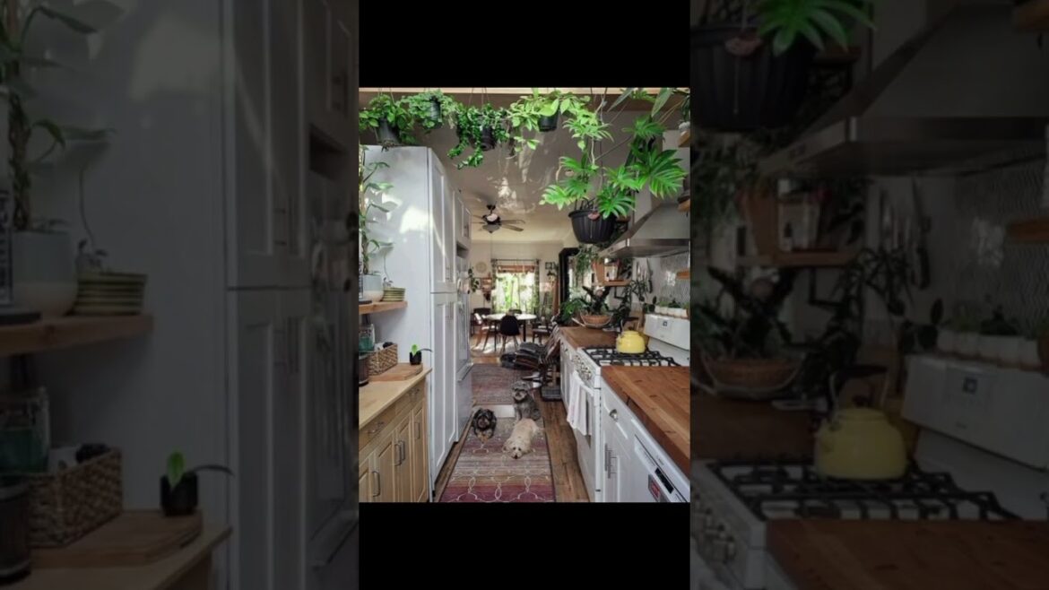 indoor kitchen garden Ideas  #homedecor #shorts #indoorplants