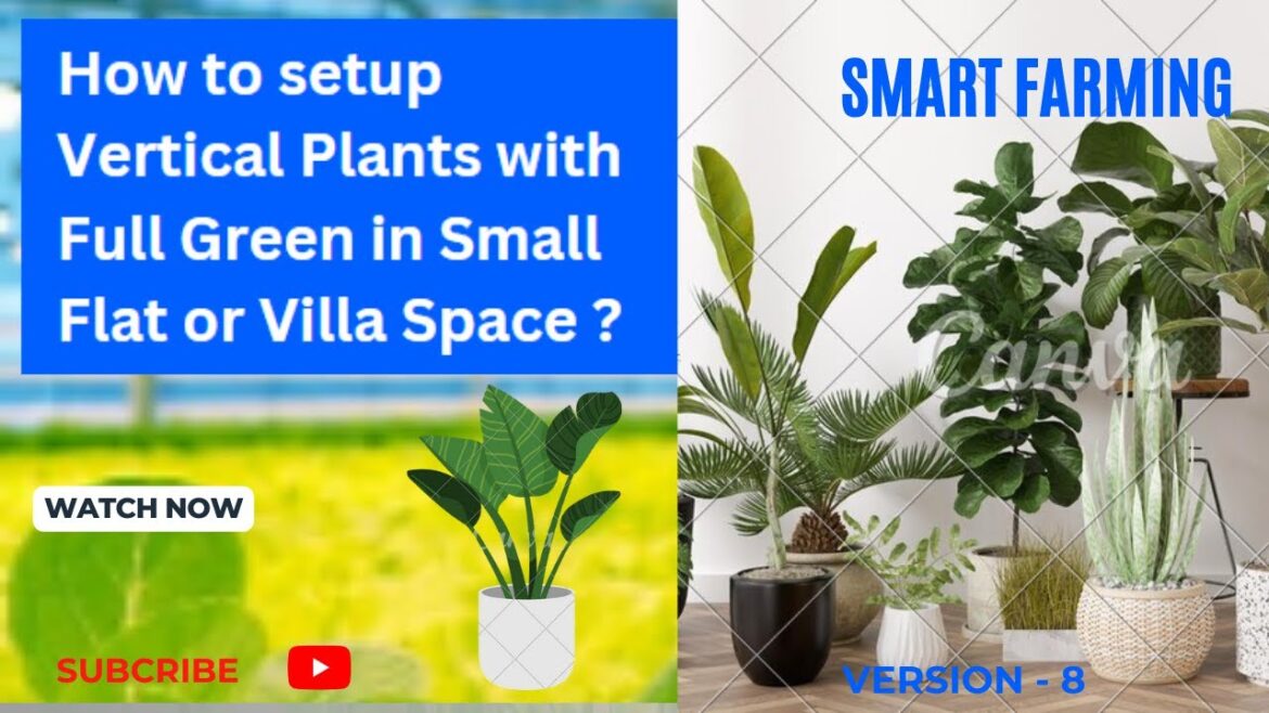 Vertical Plants with Full Green Setup in Small Flat or Villa Space