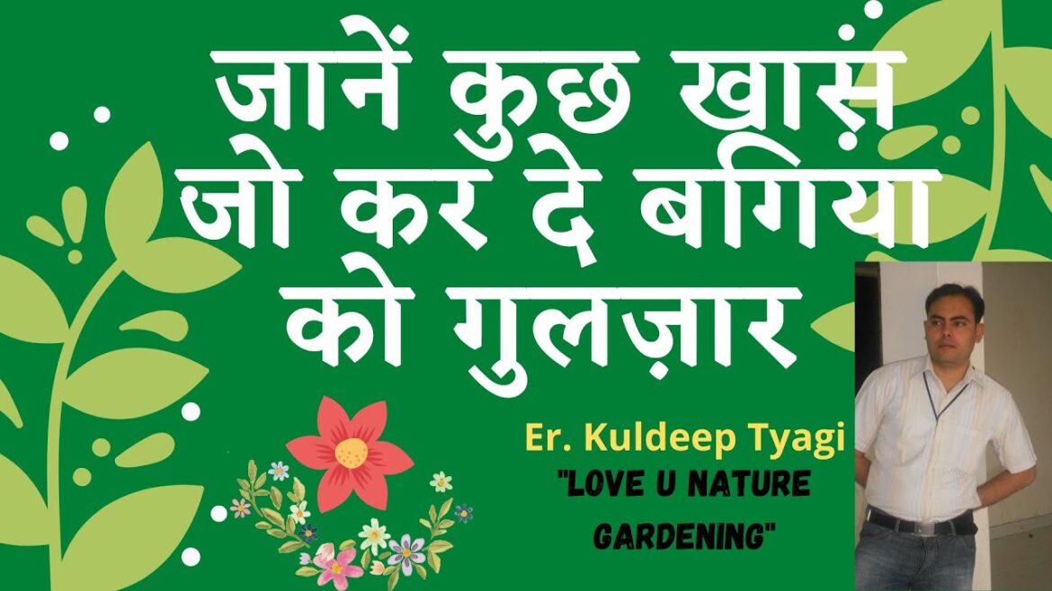 Gardening Tips and knowledge 2022 में गार्डनिंग की सबसे असरदार tips n knowledge Gardening Tips and knowledge 2022 में गार्डनिंग की सबसे असरदार tips n knowledge